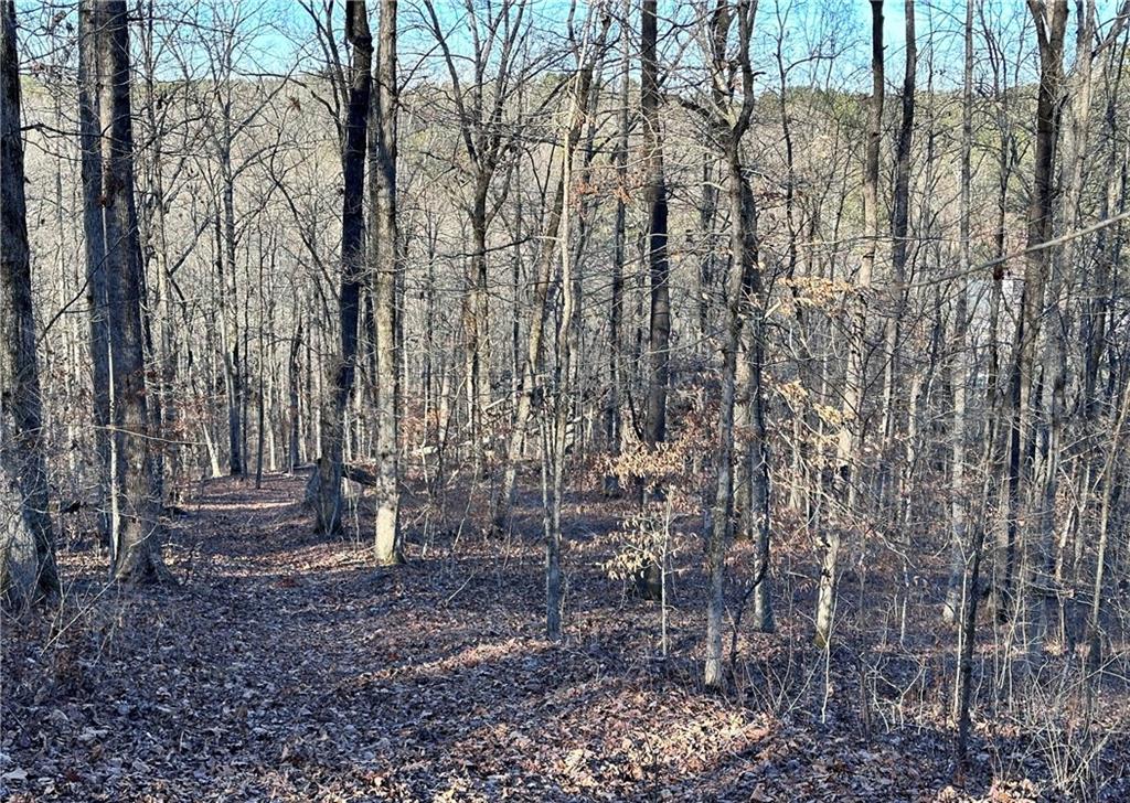 8555 Woodland Brooke Trail Property Photo 22