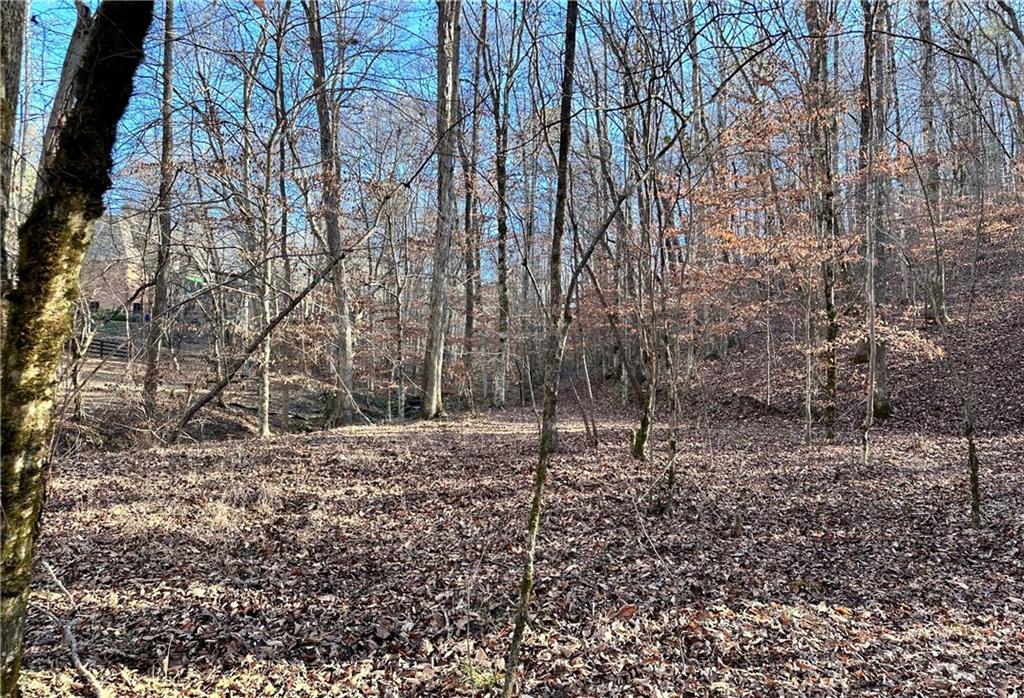 8555 Woodland Brooke Trail Property Photo 23