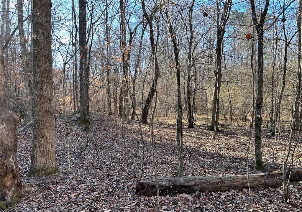 8555 Woodland Brooke Trail Property Photo 25