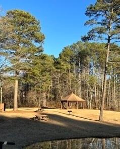 8555 Woodland Brooke Trail Property Photo 38
