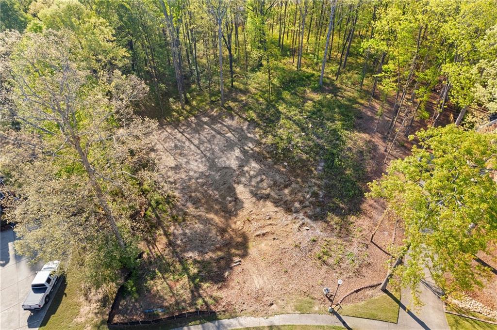 295 Helens Manor Drive Property Photo 1