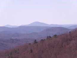 198 Soaring Hawk Trail Property Photo 3