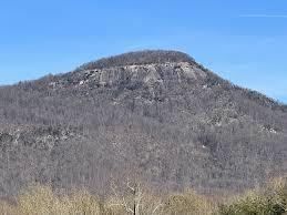 198 Soaring Hawk Trail Property Photo 6
