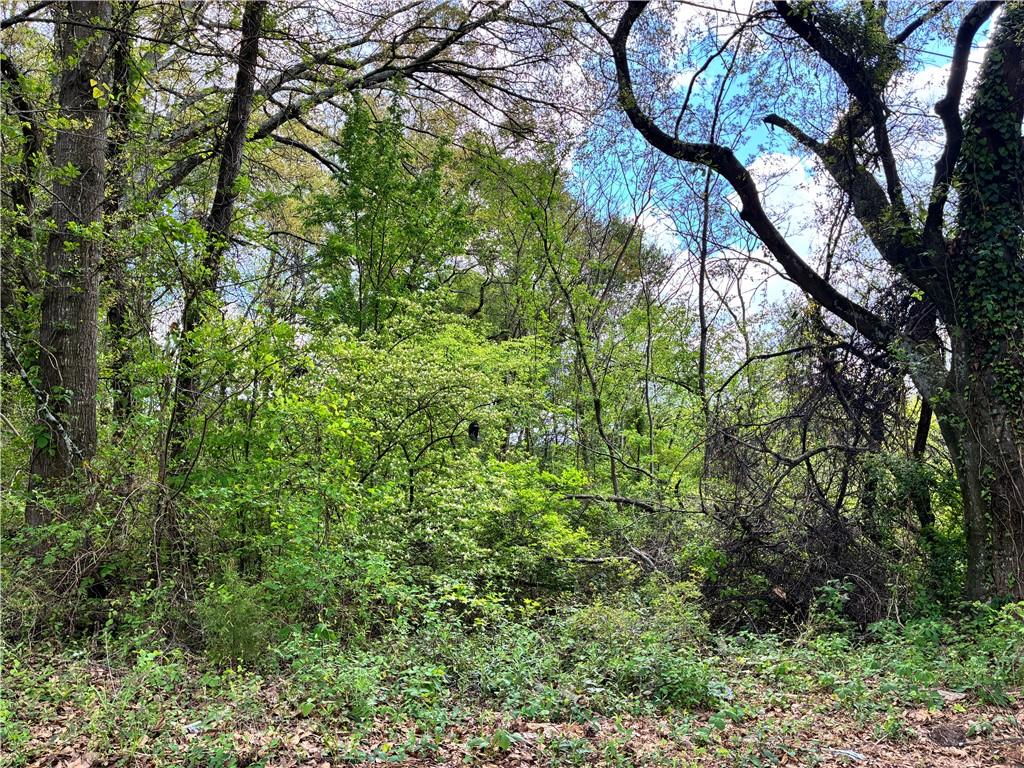 420 Pickfair Avenue Sw Property Photo 2