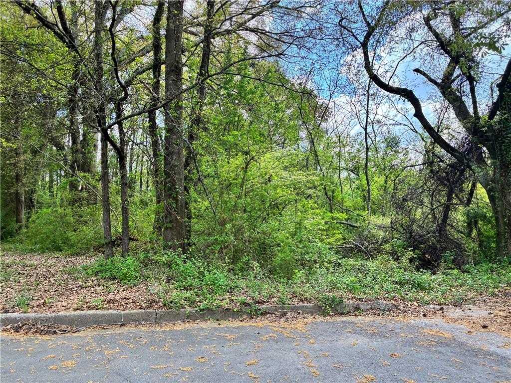 420 Pickfair Avenue Sw Property Photo 3
