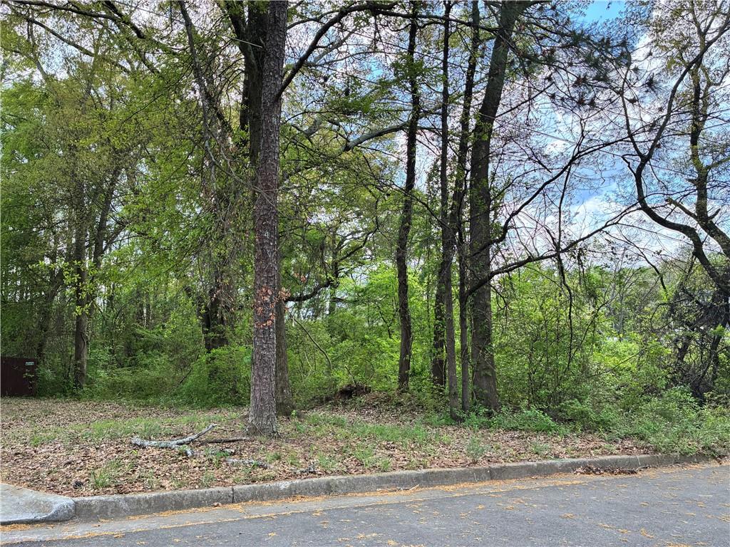 420 Pickfair Avenue Sw Property Photo 4