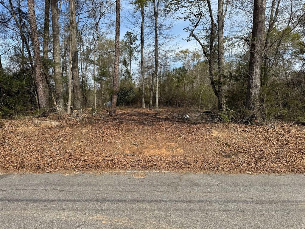 738 Old Mineral Springs Property Photo 3