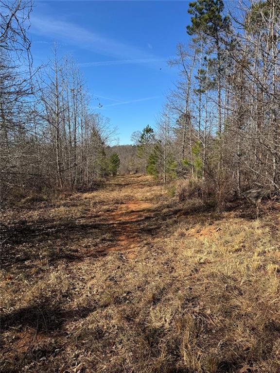 738 Old Mineral Springs Property Photo 5