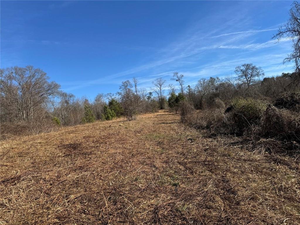 738 Old Mineral Springs Property Photo 6