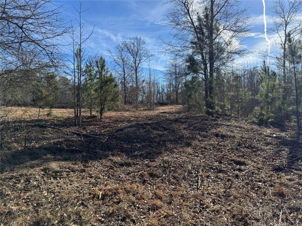 738 Old Mineral Springs Property Photo 7