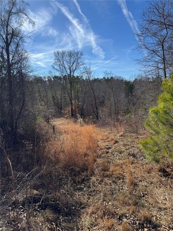 738 Old Mineral Springs Property Photo 8