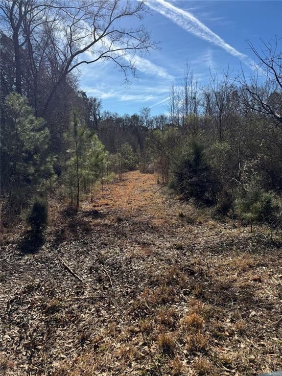 738 Old Mineral Springs Property Photo 9