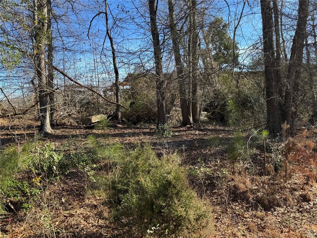 738 Old Mineral Springs Property Photo 10