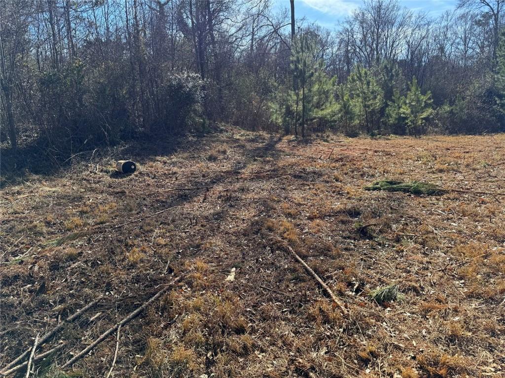 738 Old Mineral Springs Property Photo 11
