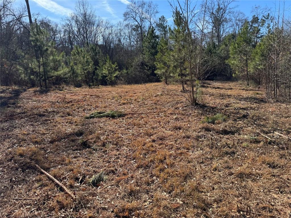 738 Old Mineral Springs Property Photo 12
