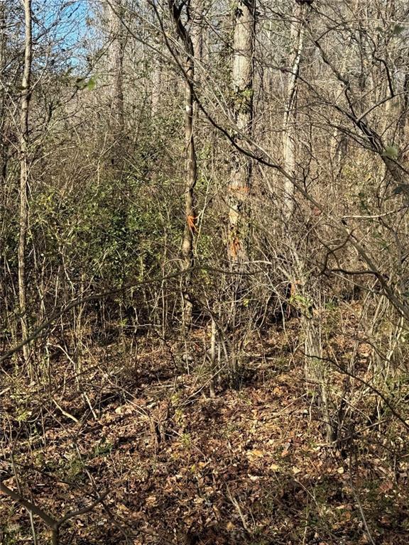 738 Old Mineral Springs Property Photo 13