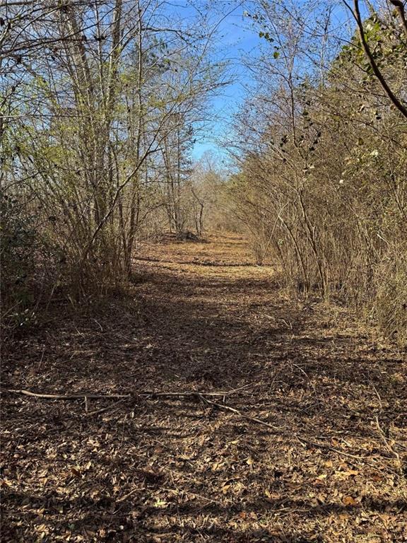 738 Old Mineral Springs Property Photo 14