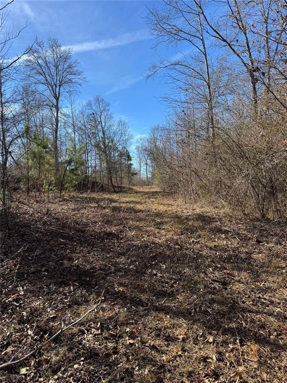 738 Old Mineral Springs Property Photo 15