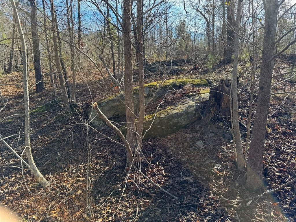 738 Old Mineral Springs Property Photo 16