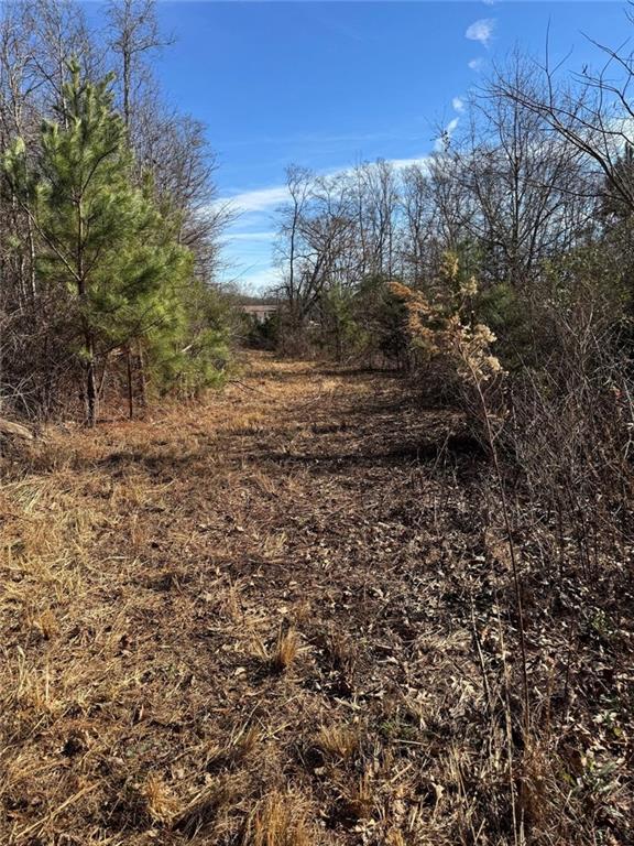 738 Old Mineral Springs Property Photo 17
