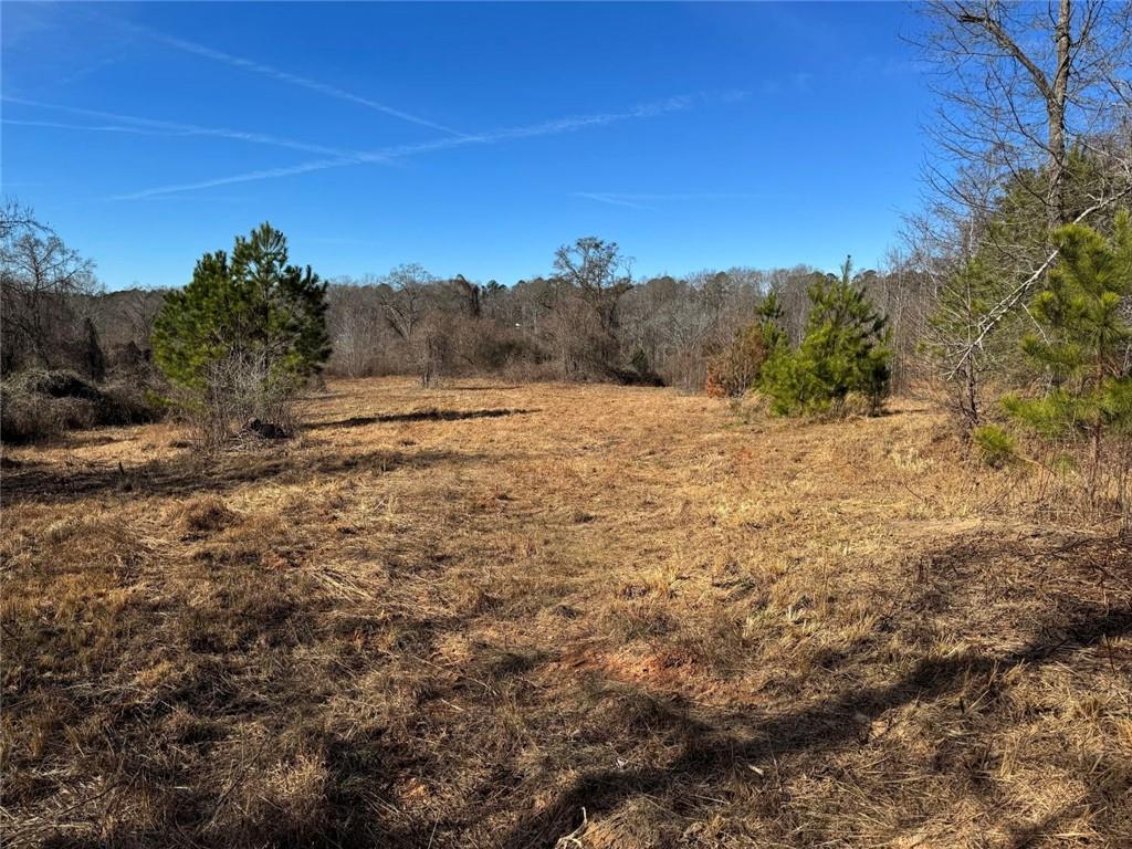 738 Old Mineral Springs Property Photo 18