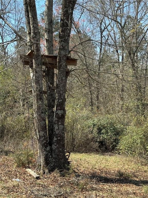738 Old Mineral Springs Property Photo 19