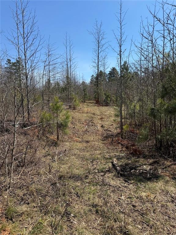 738 Old Mineral Springs Property Photo 20
