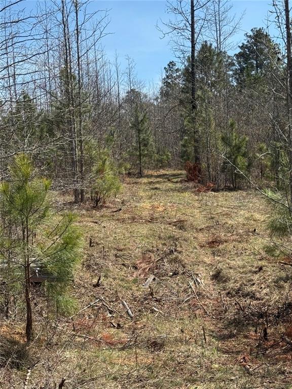 738 Old Mineral Springs Property Photo 21