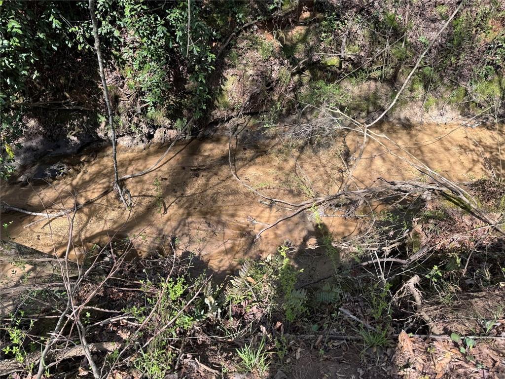 738 Old Mineral Springs Property Photo 22