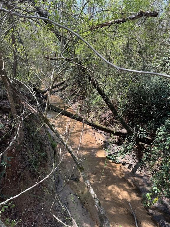 738 Old Mineral Springs Property Photo 23