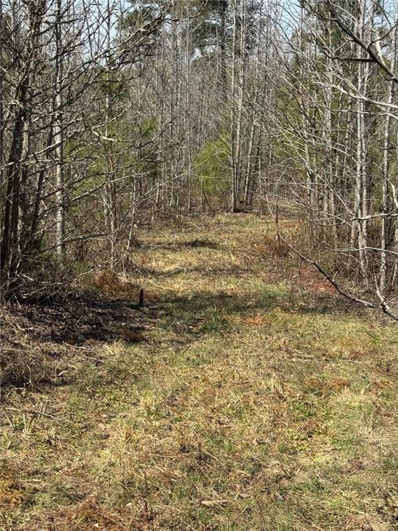 738 Old Mineral Springs Property Photo 25