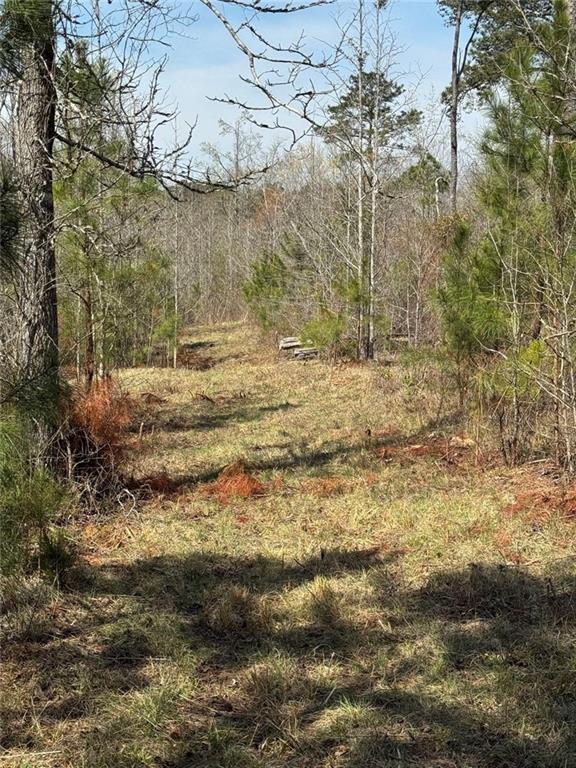 738 Old Mineral Springs Property Photo 26