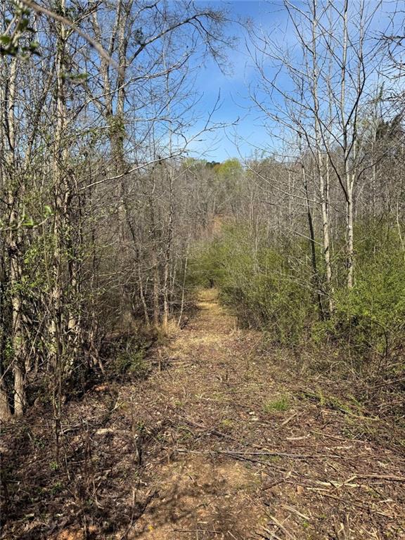 738 Old Mineral Springs Property Photo 27