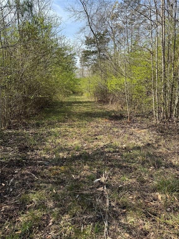 738 Old Mineral Springs Property Photo 28