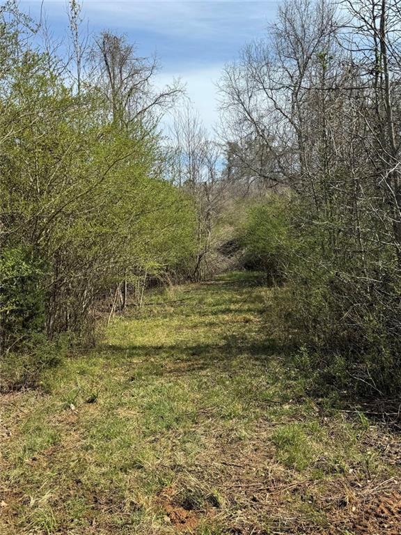 738 Old Mineral Springs Property Photo 29