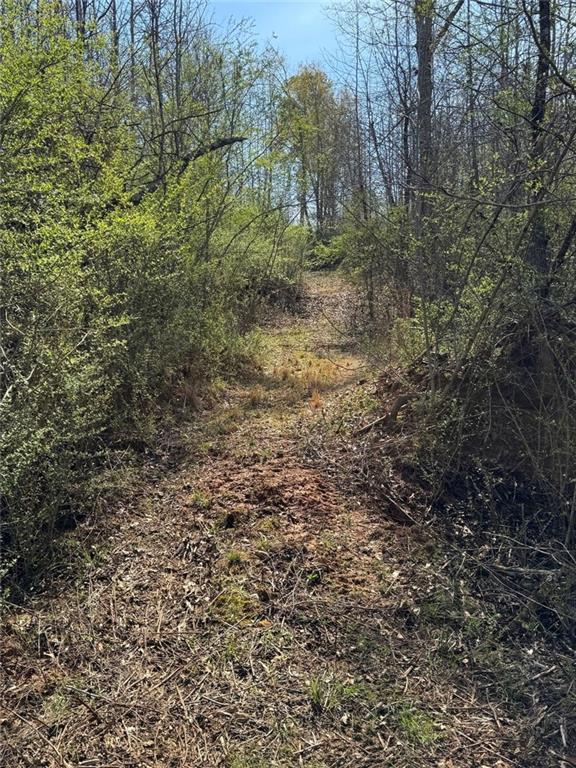 738 Old Mineral Springs Property Photo 30
