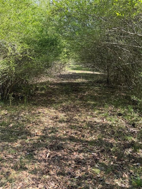 738 Old Mineral Springs Property Photo 31