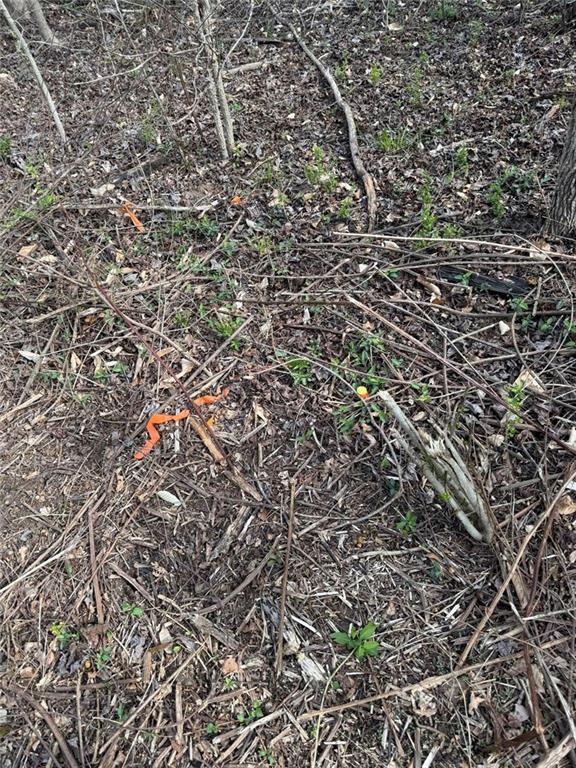 738 Old Mineral Springs Property Photo 32