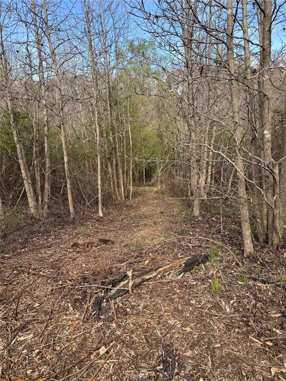 738 Old Mineral Springs Property Photo 33