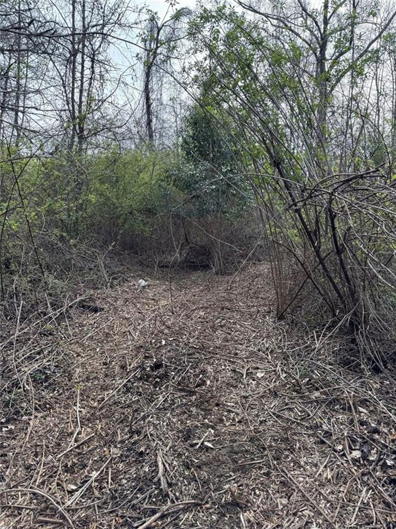 738 Old Mineral Springs Property Photo 34