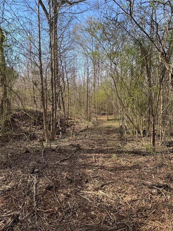 738 Old Mineral Springs Property Photo 35