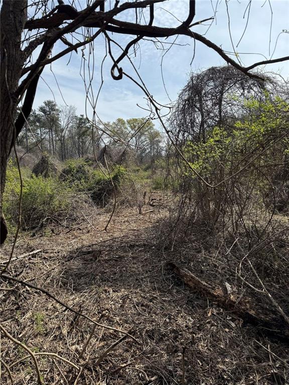 738 Old Mineral Springs Property Photo 36