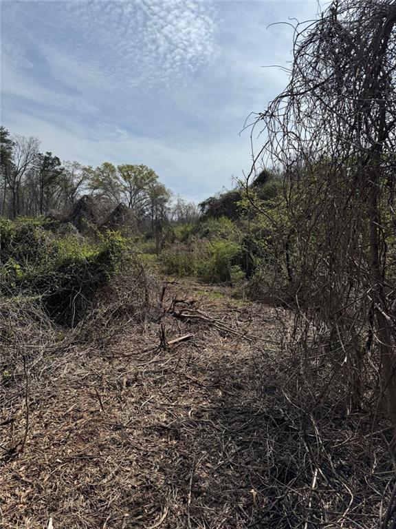738 Old Mineral Springs Property Photo 37
