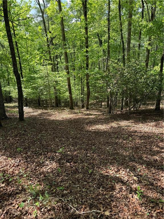 0 Mill Trace Court Property Photo 1
