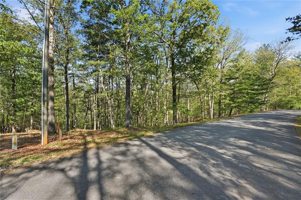 0 Mill Trace Court Property Photo 2