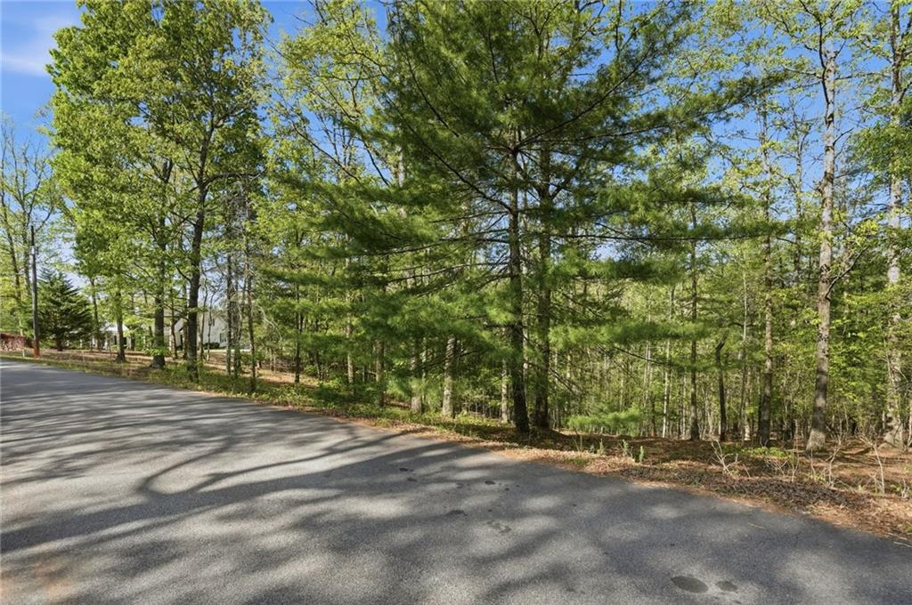 0 Mill Trace Court Property Photo 4