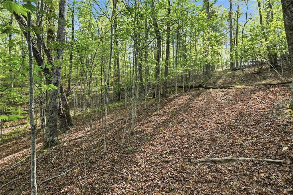 0 Mill Trace Court Property Photo 6