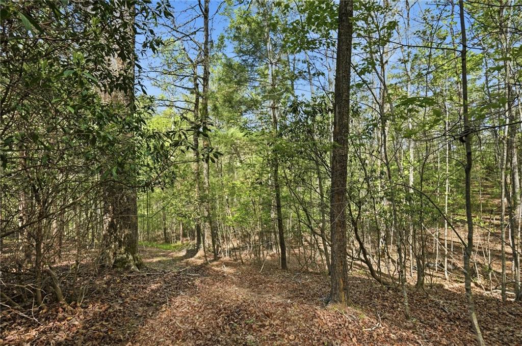 0 Mill Trace Court Property Photo 7