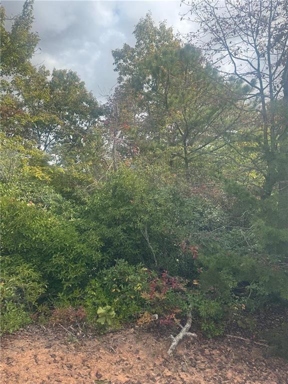 Lot 16 Brown Hawk Property Photo 1
