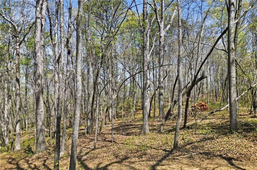 3102 Flatbottom Road Property Photo 8